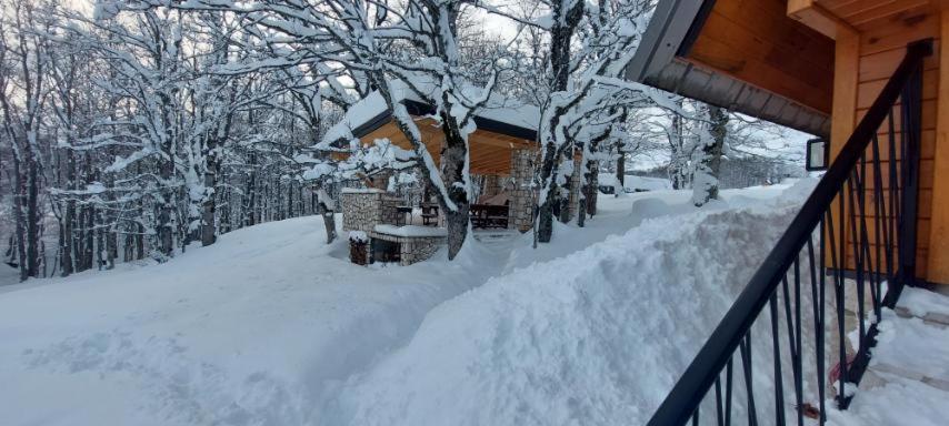 Vila Sun Forest Žabljak Екстериор снимка