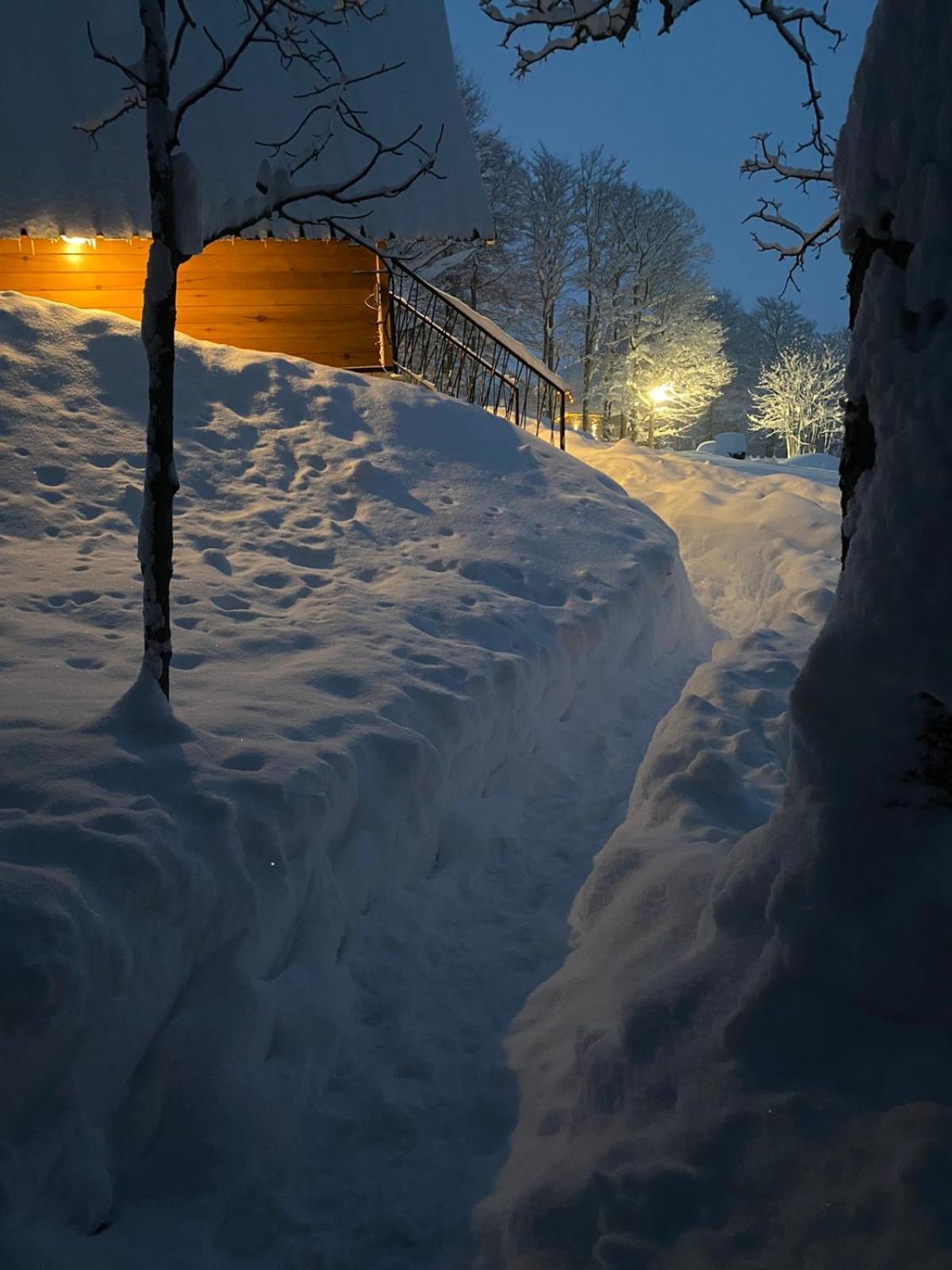 Vila Sun Forest Žabljak Екстериор снимка