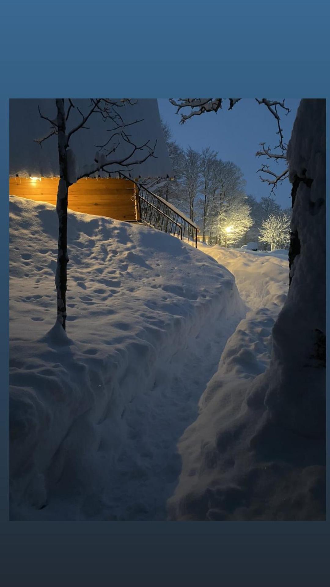 Vila Sun Forest Žabljak Екстериор снимка