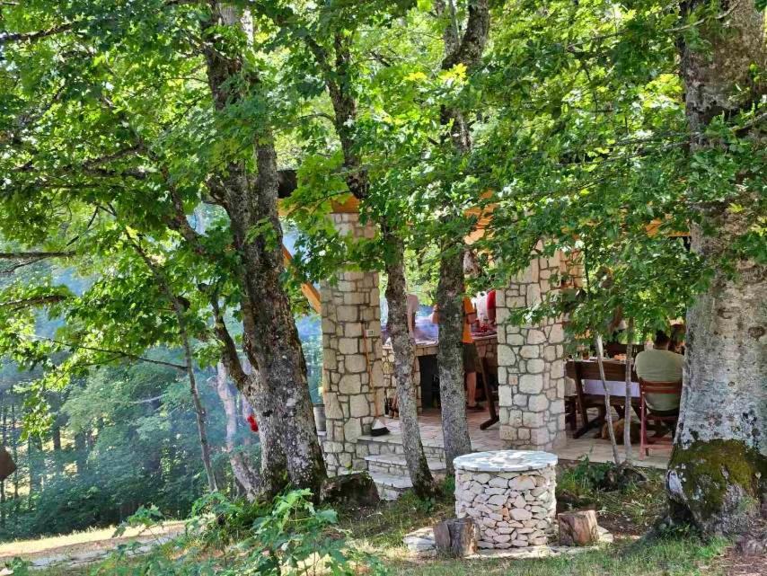 Vila Sun Forest Žabljak Екстериор снимка